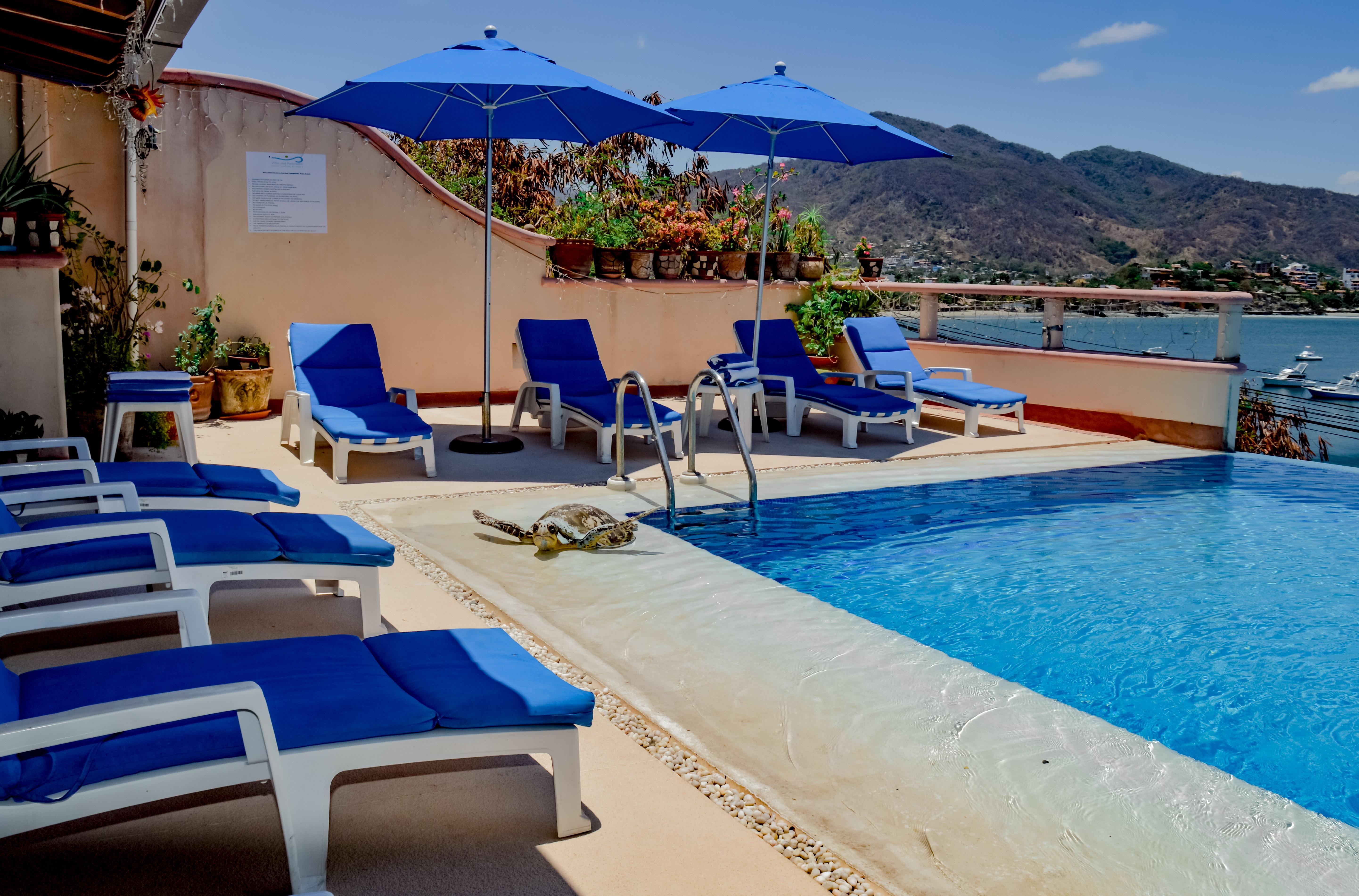 Villa Del Pescador Zihuatanejo Zewnętrze zdjęcie